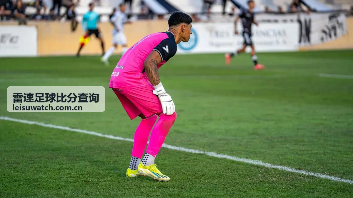 雷速足球比分查询 上海海港vs山东泰山